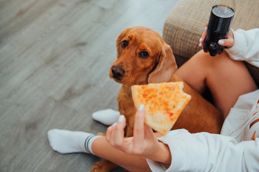 Crop woman eating pizza sitting with dog